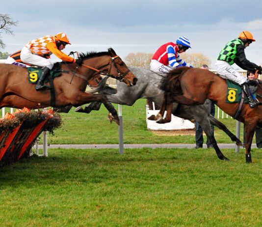 How are horse racing odds determined?