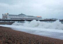 Woman Dies After Being Pulled from the Sea Off Brighton Coast