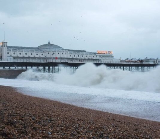 Woman Dies After Being Pulled from the Sea Off Brighton Coast