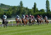Top Tips For Matched Bettors USA