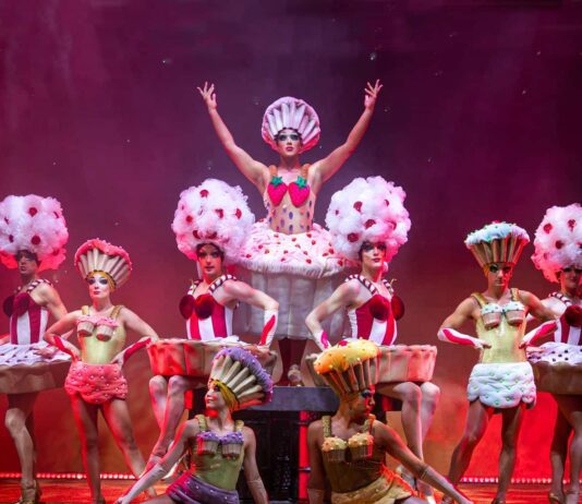 Priscilla Queen of the Desert returns to Theatre Royal