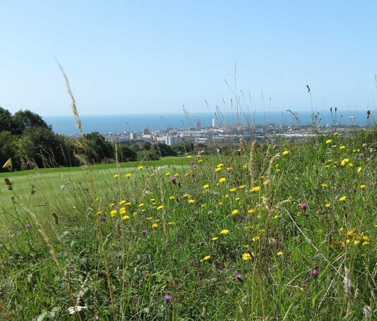 Proposal for Further Scrutiny of Hollingbury Golf Course Plans Voted Down