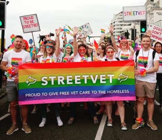 StreetVet Brighton: Helping Homeless Pets In Need