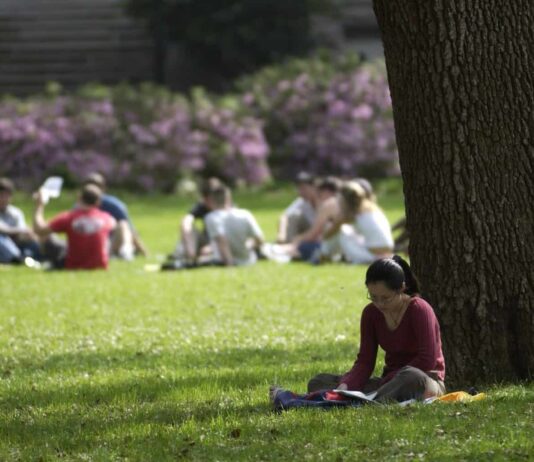 Student Mental Health: Just 10 minutes a day in nature could reduce stress and anxiety – research shows