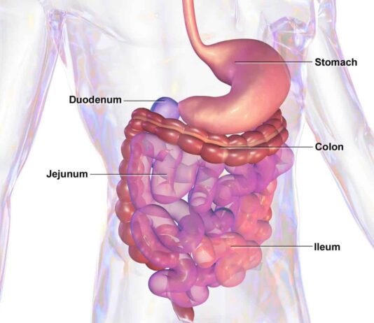 Nutritional Gut Health Part 3