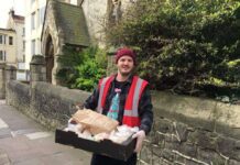 Creating a healthy, sustainable and fair food system for the city and its residents