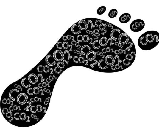How Can I offset my Carbon Footprint?