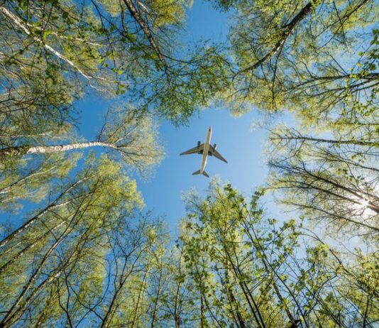 Destination: Green Airline Bailouts