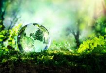 Weekend Interview- Inside Radisson’s Net Zero Mission, Ethics and Change