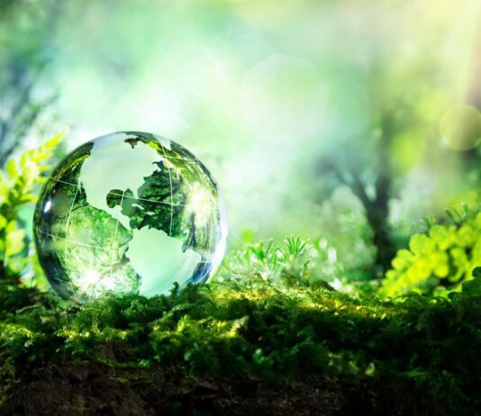Why Sustainability Can’t Wait: Dr Sally Uren on Rethinking Business for a Regenerative Future