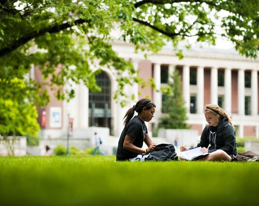 University 2020: Should I stay or should I go now?