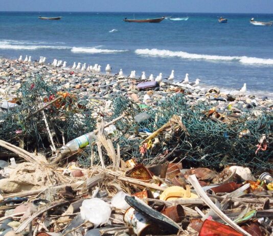 Council reports highest amount of rubbish ever collected from the beach in a single day