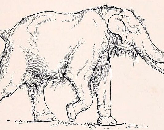 Elephants in Trafalgar Square?: The story of Britain’s lost megafauna