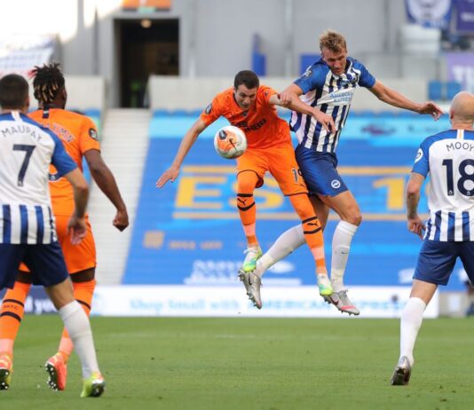 Albion secure Premier League status after draw with Newcastle