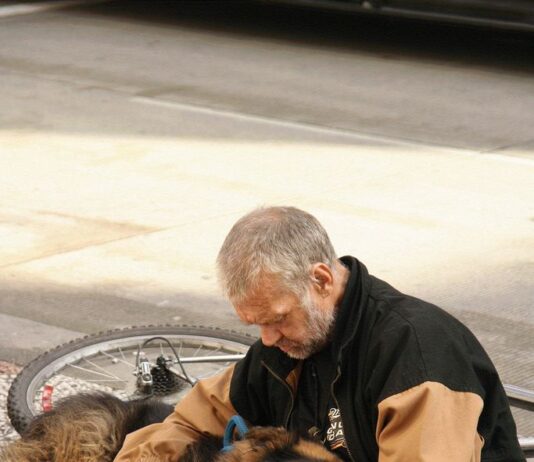‘My dog is my home’ – the need for pet-friendly accommodation for homeless people