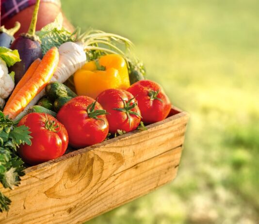 Can Eating Organically Eliminate Our Food Intolerances?