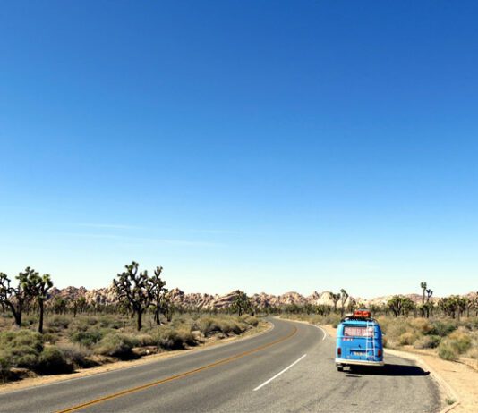 Tired of Being Stuck in the House? Why a Road Trip Could be the Perfect Cure