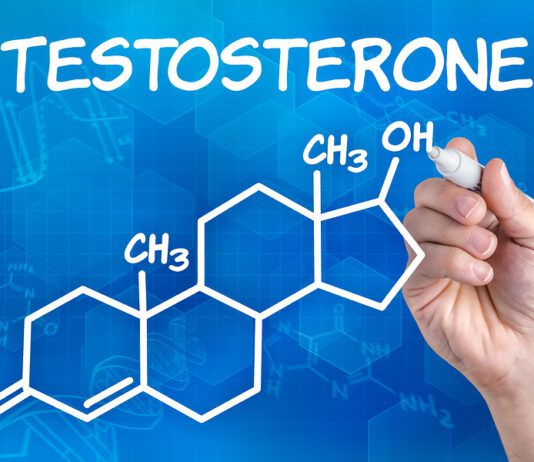 Why is Testosterone So Important in the Body?