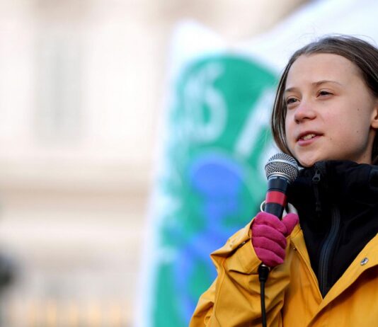 Fridays for Future: how the young climate movement has grown since Greta Thunberg’s lone protest