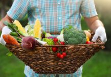 Weekend Featrure- How fast is your gut? And Why it matters