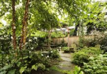 The Joy of Simple Gardening: Tools That Help You Slow Down and Reconnect