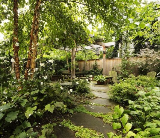 The Joy of Simple Gardening: Tools That Help You Slow Down and Reconnect