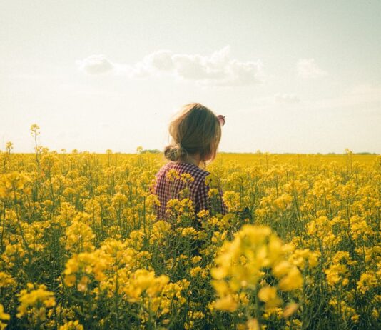 Why Reconnecting With Nature Is Essential for Resilience and Wellbeing