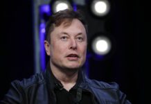 Weekend Feature-Could Elon Musk’s government takeover happen in the UK?