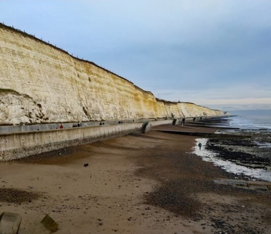 Staving off cabin fever: The Five Best Places for a Walk around Brighton and Hove