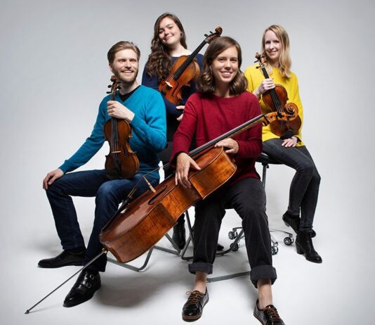 Brighton Dome to Livestream Classical Concert in Lockdown