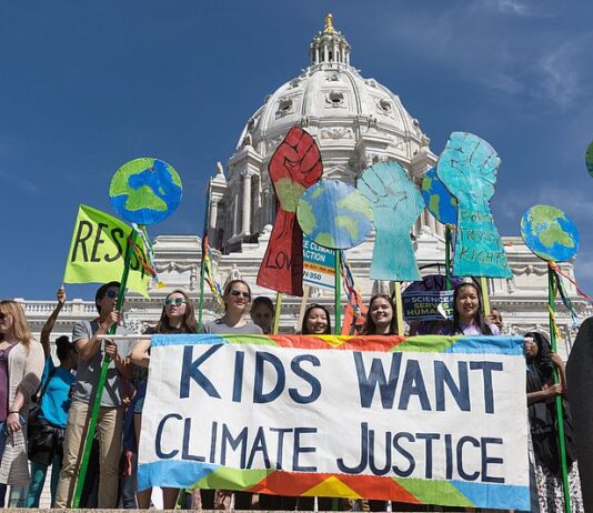 The case of Children’s climate change case at the European Court of Human Rights: Whats at stake ?