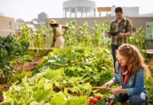 The Future Is Diverse: Duncan Williamson on Building Fair, Resilient & Regenerative Food Systems
