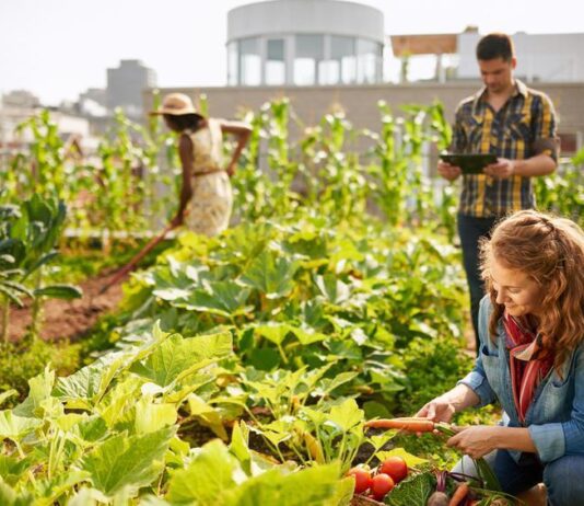 The Future Is Diverse: Duncan Williamson on Building Fair, Resilient & Regenerative Food Systems