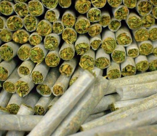 Why some young Nigerians are using cannabis as a normal part of life