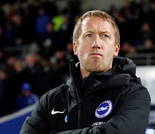 Brighton’s Chances of Survival Following the January Transfer Window