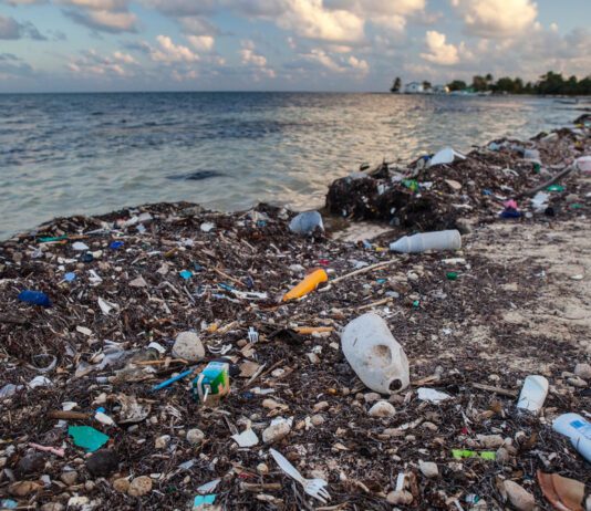Where does plastic pollution go when it enters the ocean?