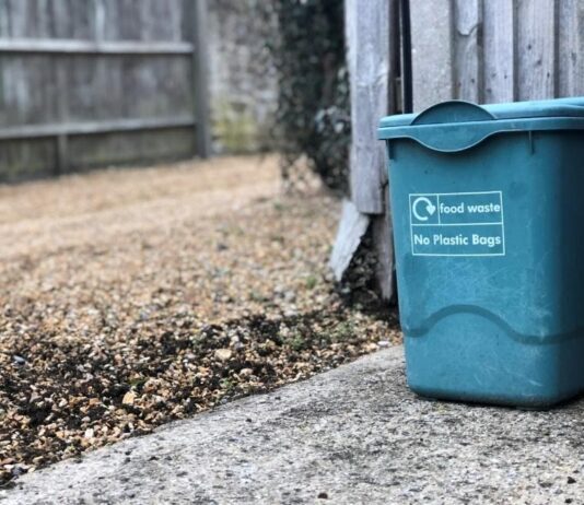 The not so Green Side of Brighton