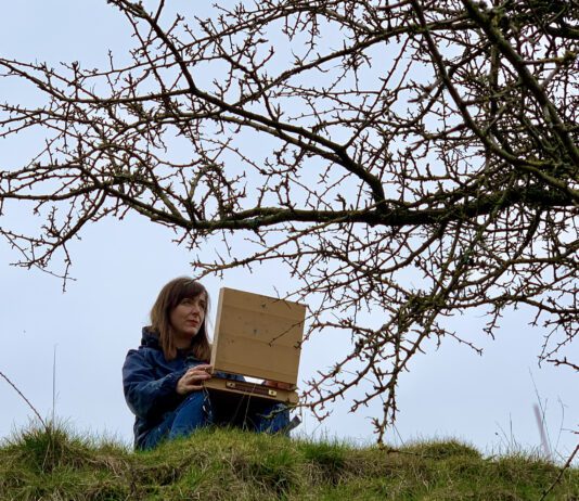 Artist of the Week: Sarah Weedon