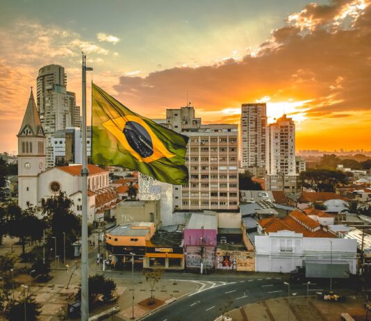 Brazilian Covid Variant: Should We Worry?