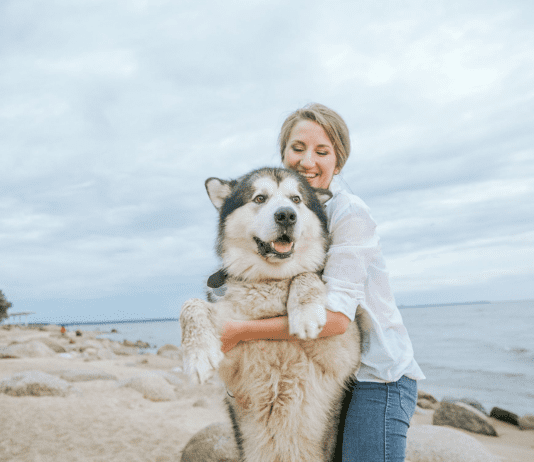 Best Dog Breeds for Spring