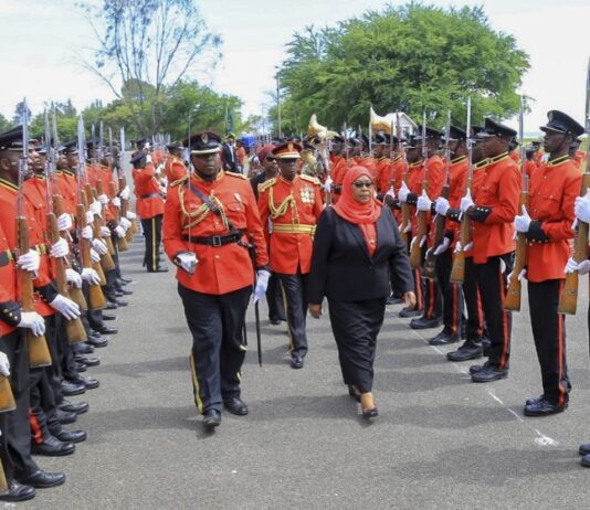 How Tanzania’s Samia Hassan can resurrect a divided nation
