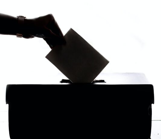 Winners and Losers of Brighton By-Elections