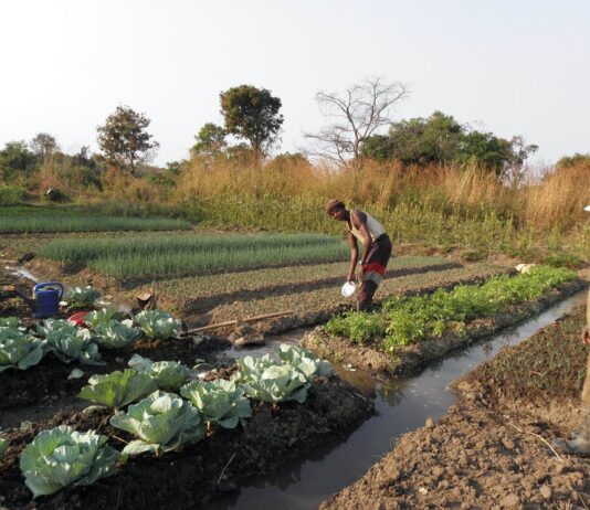 Why Big irrigation projects in Africa have failed