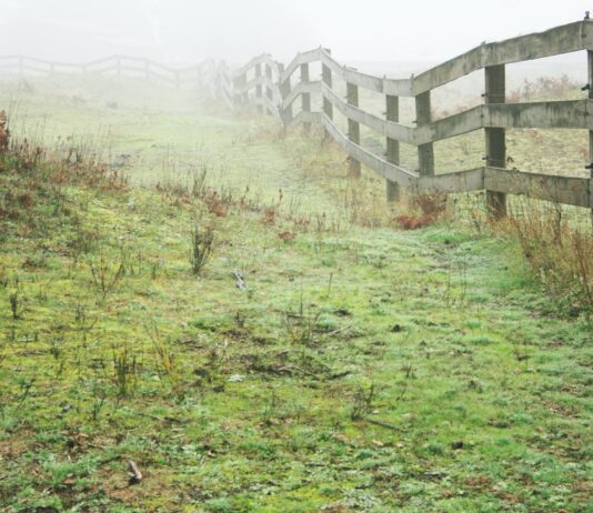 ‘Brighton West’ – Portislade Faces Backlash Over Name Change