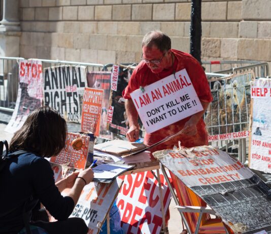Animal Activists Take Over Brighton McDonalds