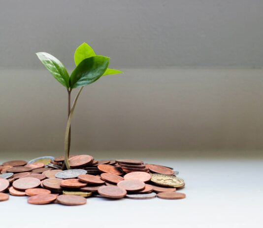 Side Hustles That Make for Great Money-Making Endeavours