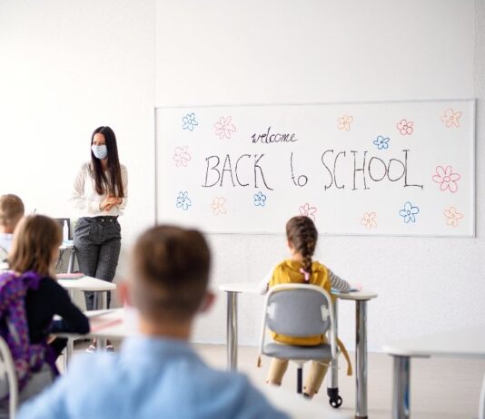 Greens secure council backing to push government for fair pay for school and public sector workers