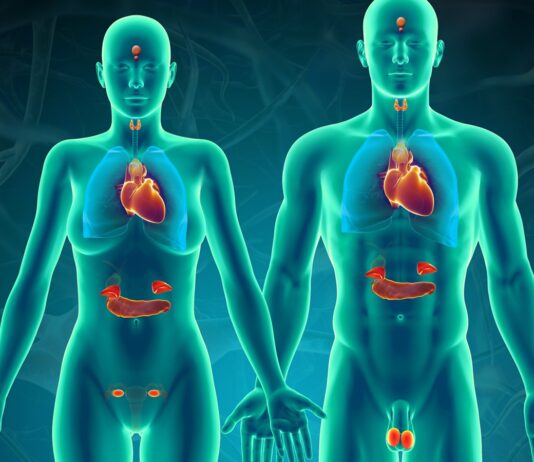 Tips for Balancing Your Hormones