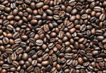 Everything You Need to Know About the Civet Coffee Craze