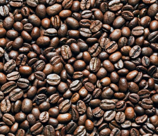 Everything You Need to Know About the Civet Coffee Craze